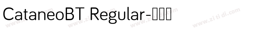 CataneoBT Regular字体转换